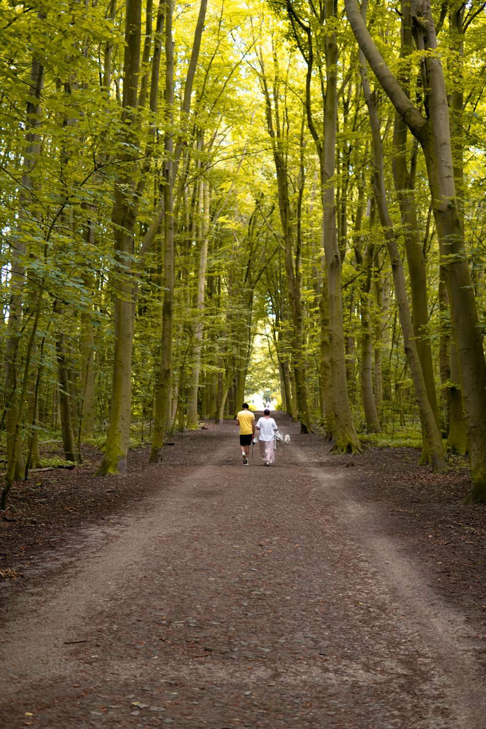 donna in giacca bianca e pantaloni neri che cammina sul sentiero tra gli alberi verdi durante il giorno