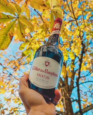 A hand holding a bottle of Cellier des Dauphins Prestige wine in front of autumn leaves. The bottle has a red cap and a detailed label, which is prominently displayed. The backdrop features a tree with yellow leaves against a clear blue sky.
