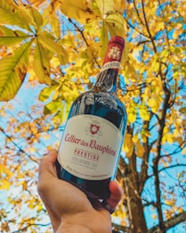 A hand holding a bottle of Cellier des Dauphins Prestige wine in front of autumn leaves. The bottle has a red cap and a detailed label, which is prominently displayed. The backdrop features a tree with yellow leaves against a clear blue sky.