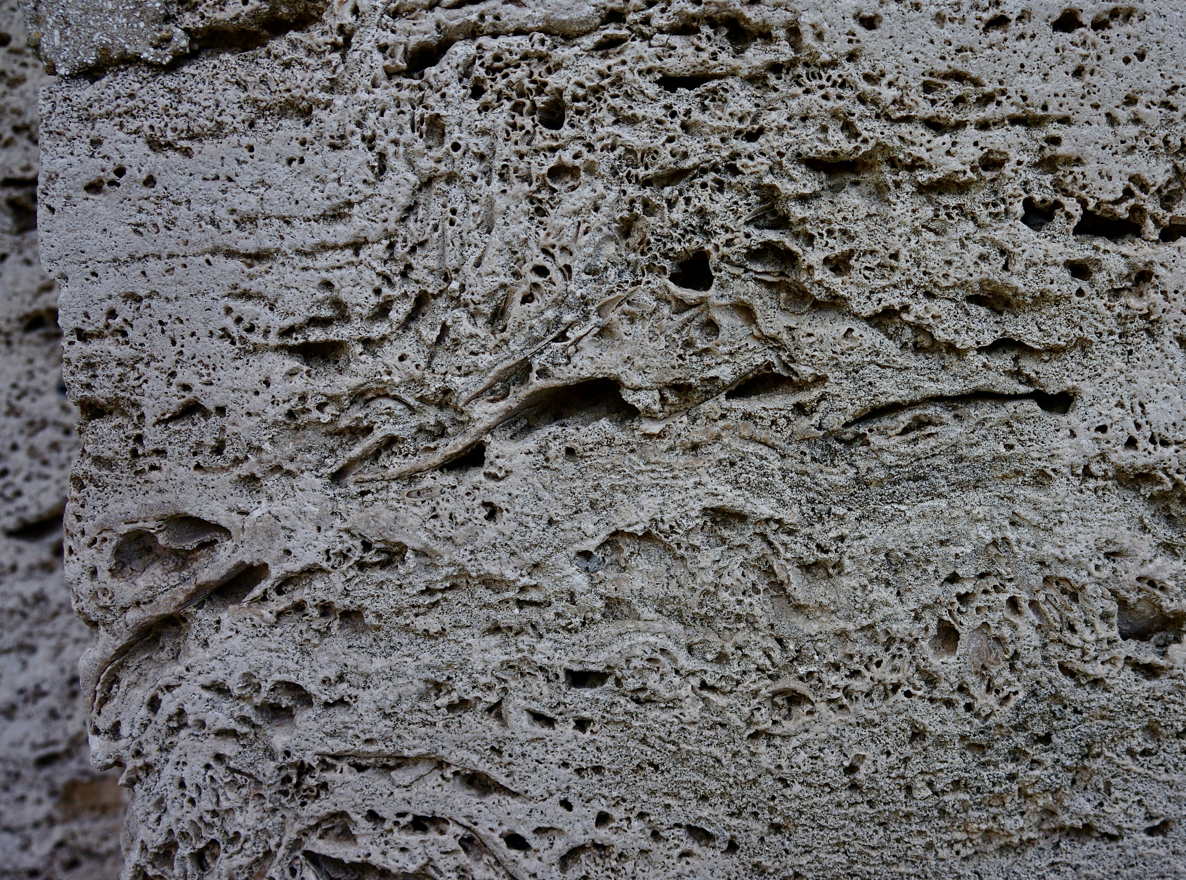 Photo by peterburdon