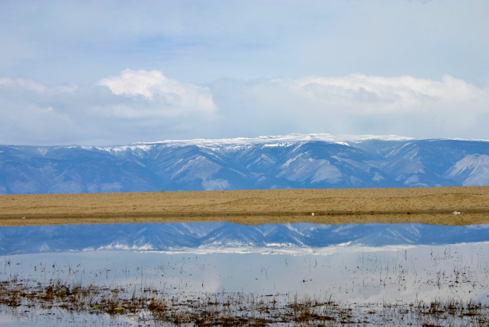 brown grass on white snow covered field during daytime