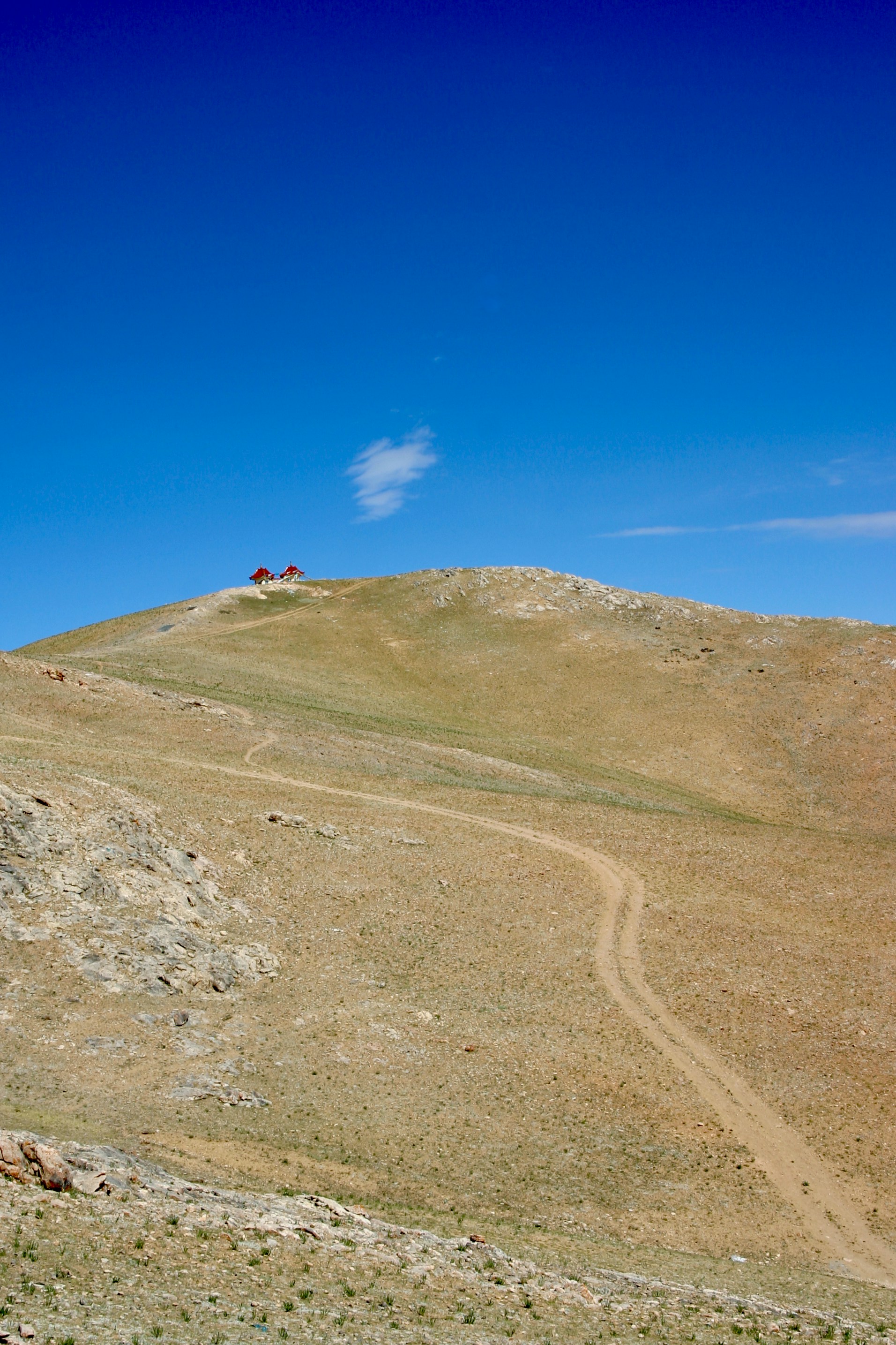 Photo by peterburdon