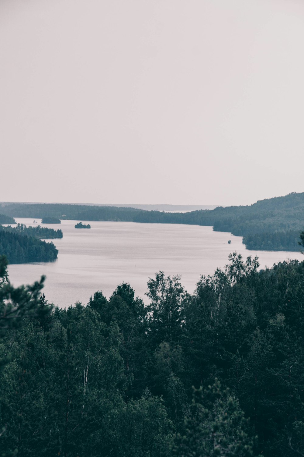 green trees near body of water during daytime