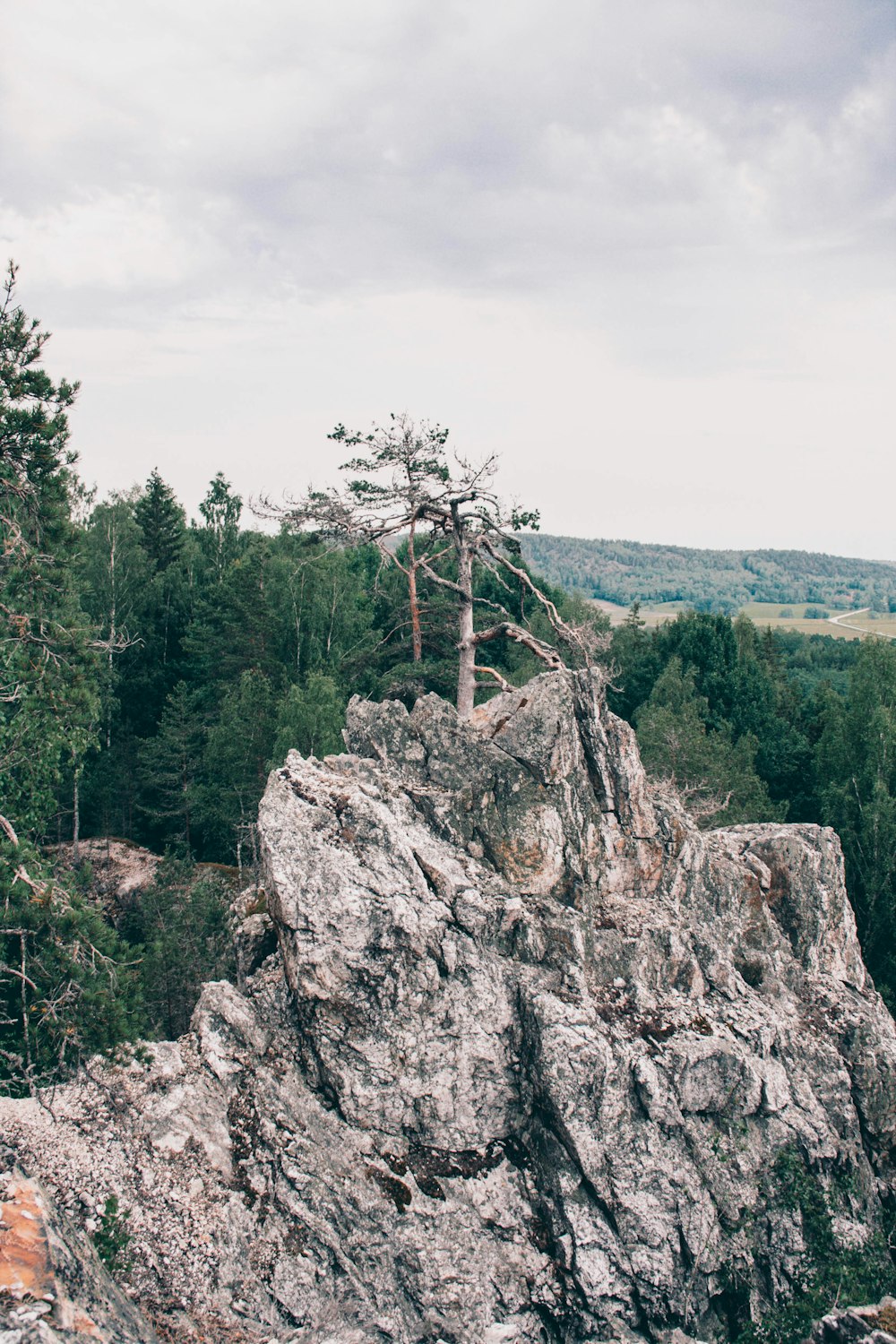 Grüne Bäume auf braunen felsigen Bergen tagsüber unter weißem, bewölktem Himmel