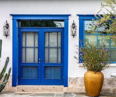 blue wooden door with green plant in brown clay pot