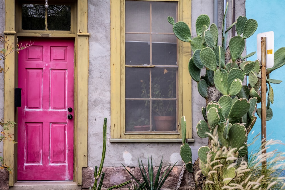 green plant beside red wooden door