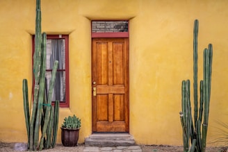 brown wooden door beside green potted plant