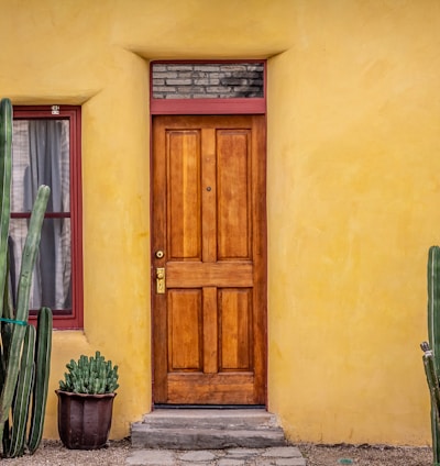 brown wooden door beside green potted plant