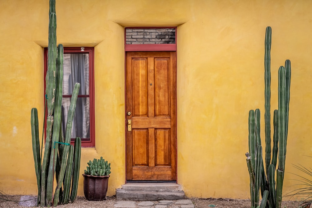 brown wooden door beside green potted plant