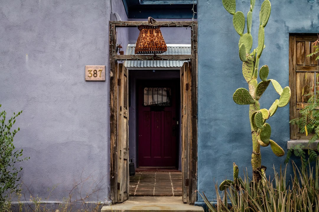 brown wooden door with green cactus plants,