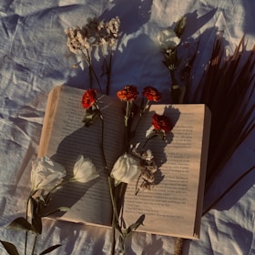 An open book glowing softly with violet and scarlet light, resting on a bed of purple petals.