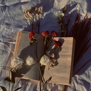 An open book glowing softly with violet and scarlet light, resting on a bed of purple petals.