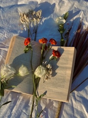 A calming affirmation guide open on a rose mauve cloth, with simple line-art illustrations and soft lighting.