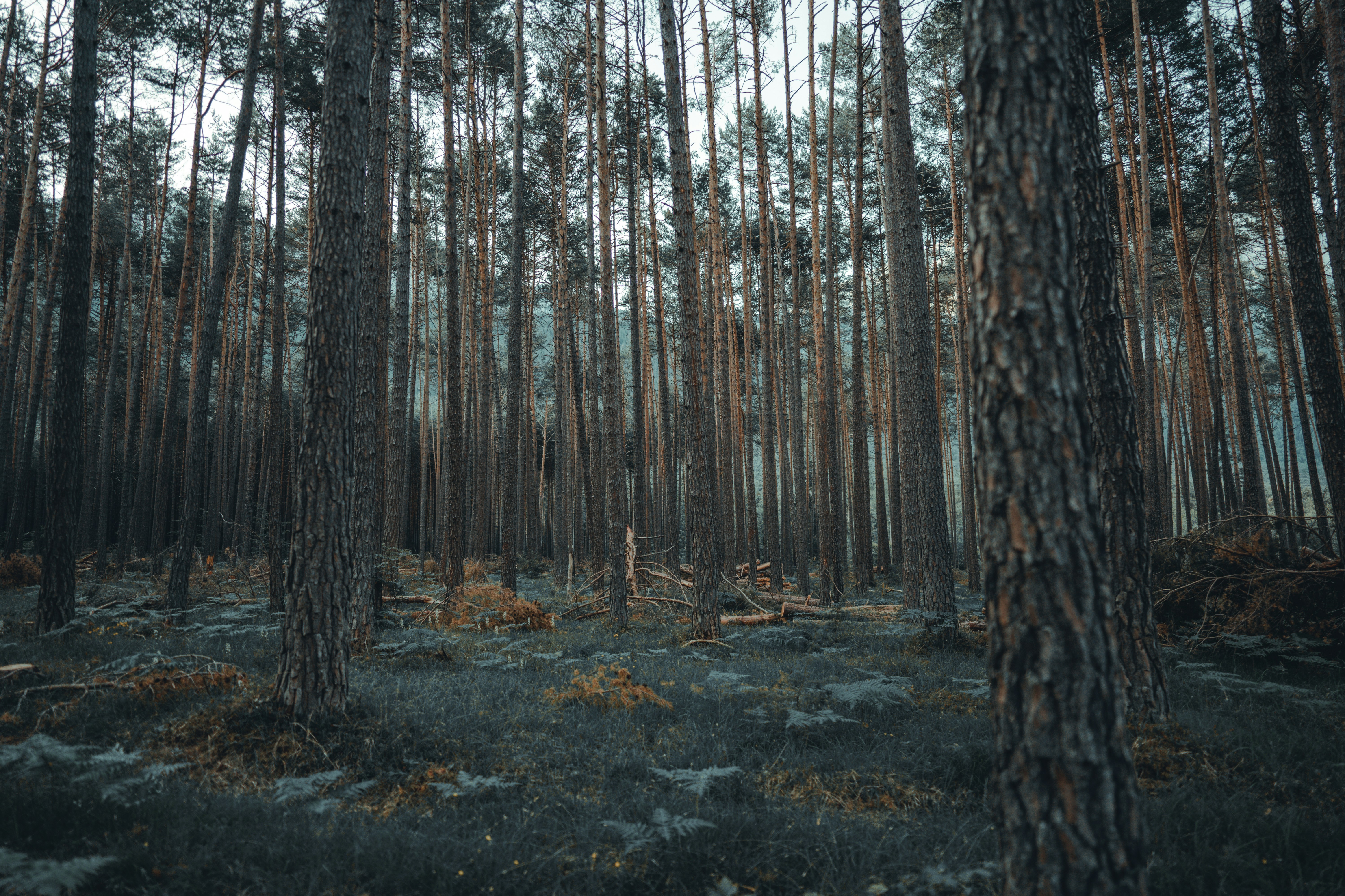 Photo by omarvellous14