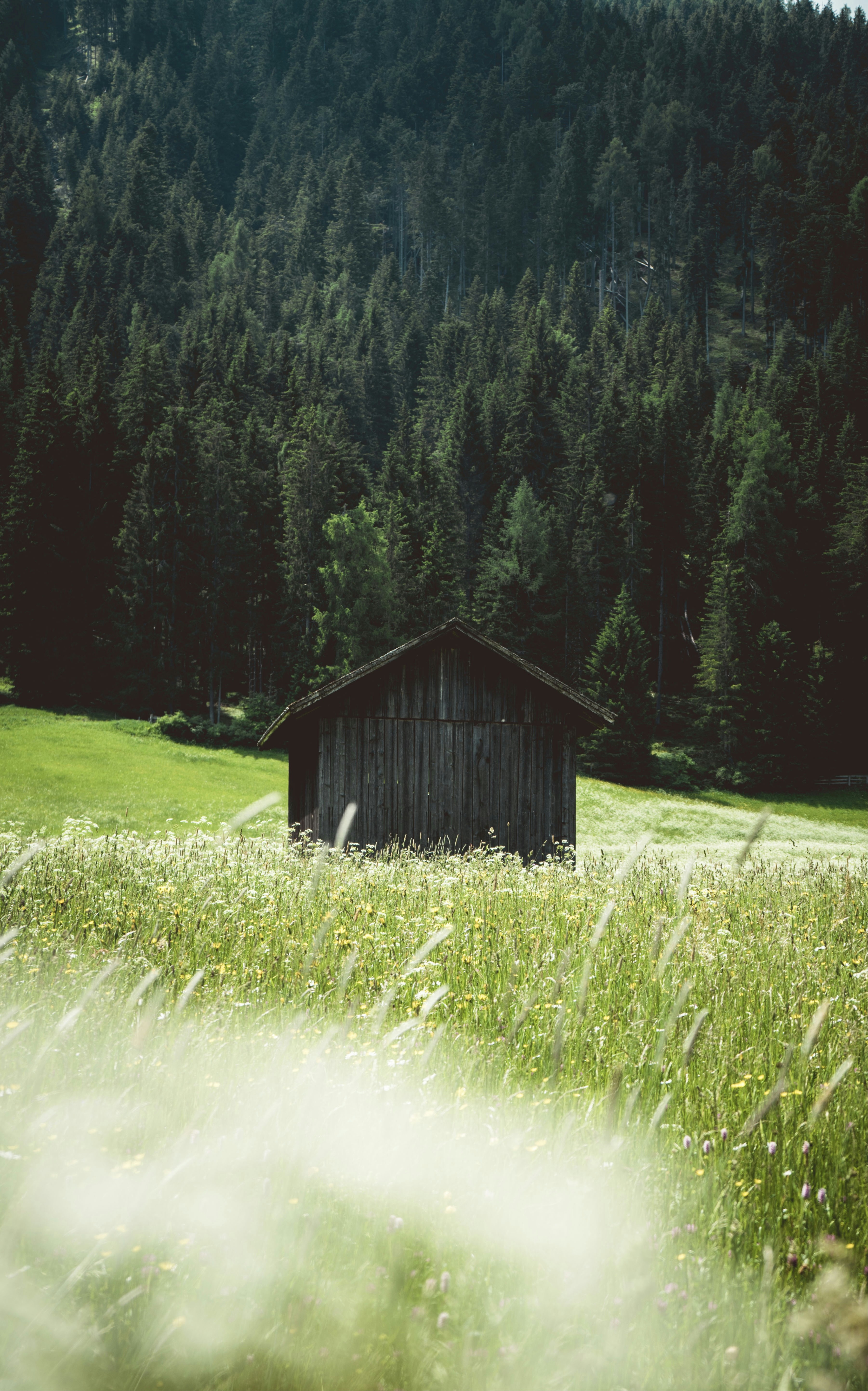 Photo by giordanorossoni