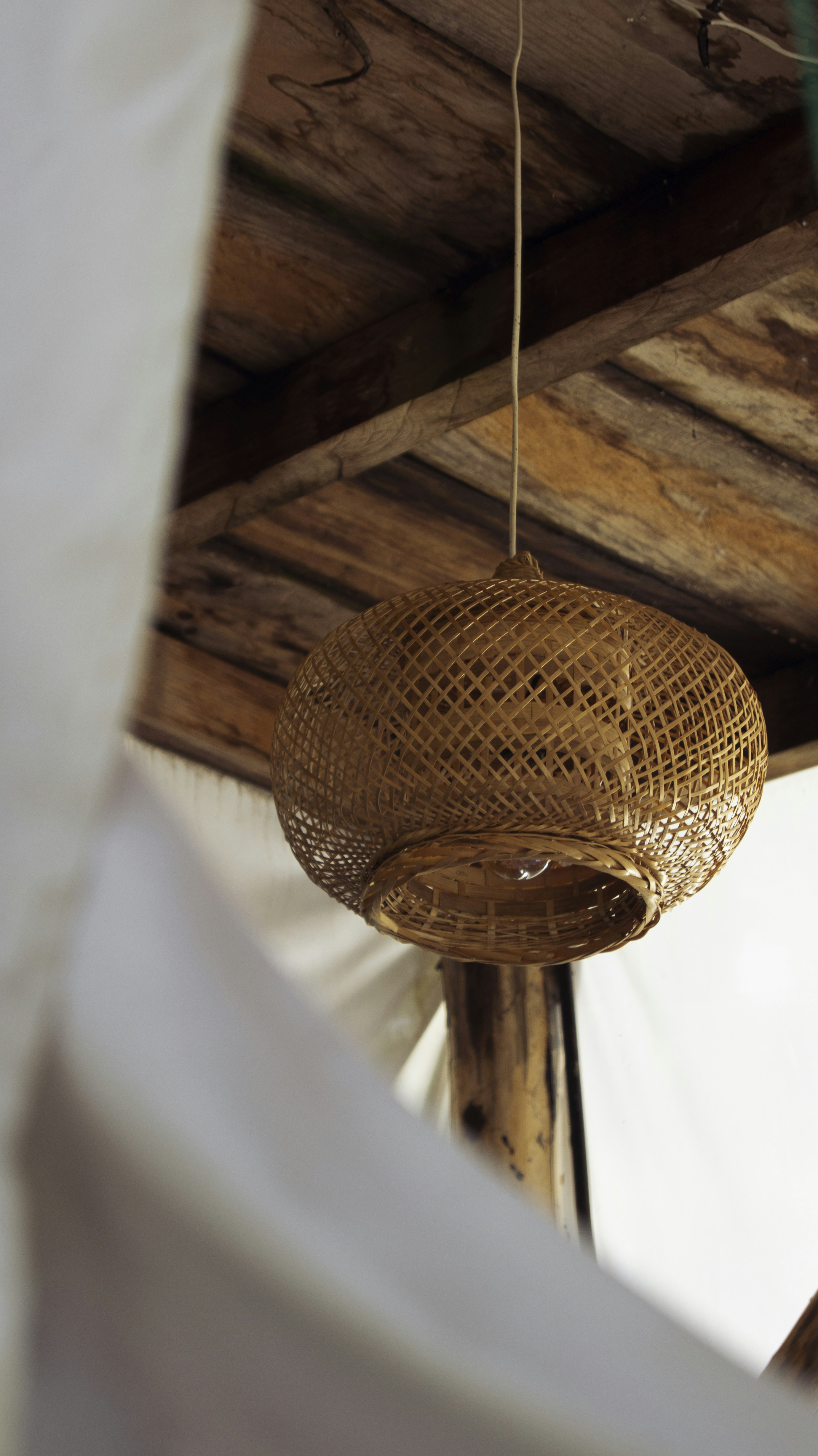 Photo by someghost95