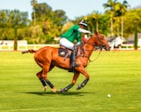 A polo player in a green jersey is astride a brown horse, actively engaged in a match on a lush green field. The player is mid-swing with a mallet, aiming at the ball. The background features blurred trees and a hint of a sunny sky.