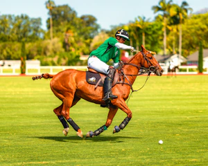 Action shot of a polo match with players galloping and striking the ball