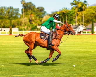 A polo player in a green jersey is astride a brown horse, actively engaged in a match on a lush green field. The player is mid-swing with a mallet, aiming at the ball. The background features blurred trees and a hint of a sunny sky.