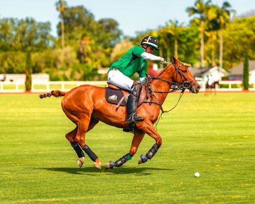 A polo player in a green jersey is astride a brown horse, actively engaged in a match on a lush green field. The player is mid-swing with a mallet, aiming at the ball. The background features blurred trees and a hint of a sunny sky.