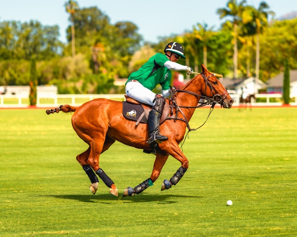 Embroidered Luxury Polo