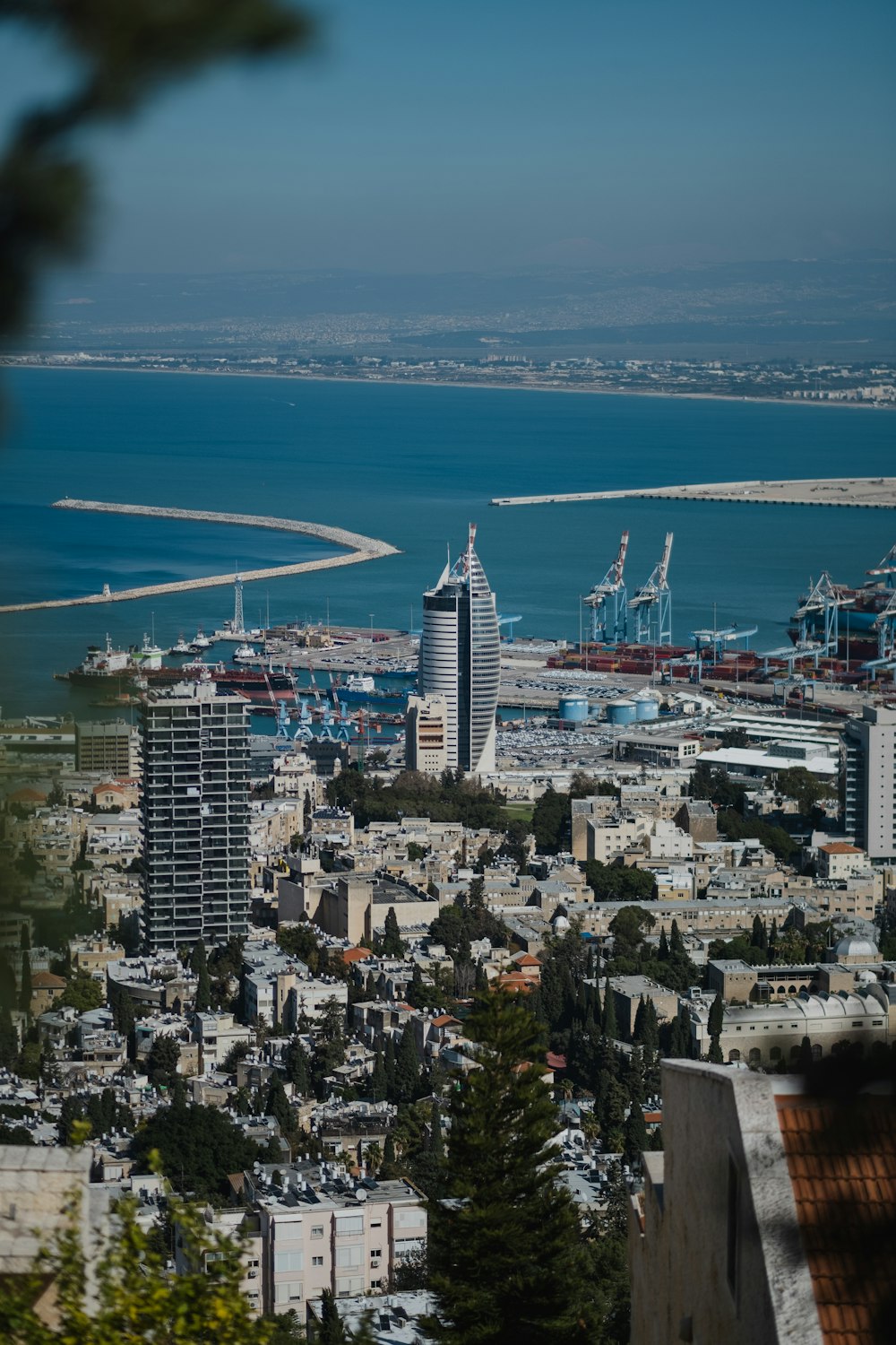 aerial view of city buildings near body of water during daytime