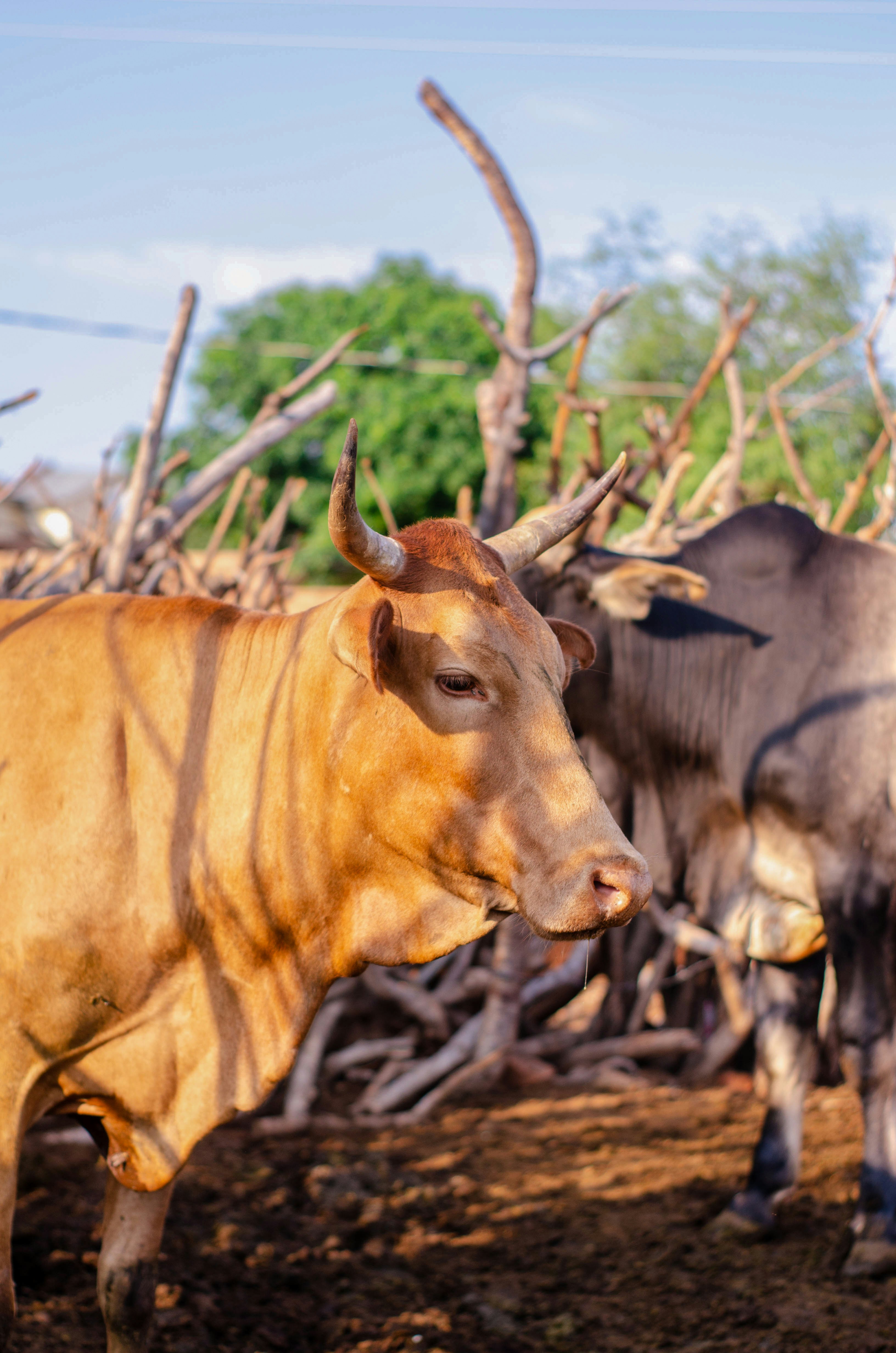 Photo by stewardesign