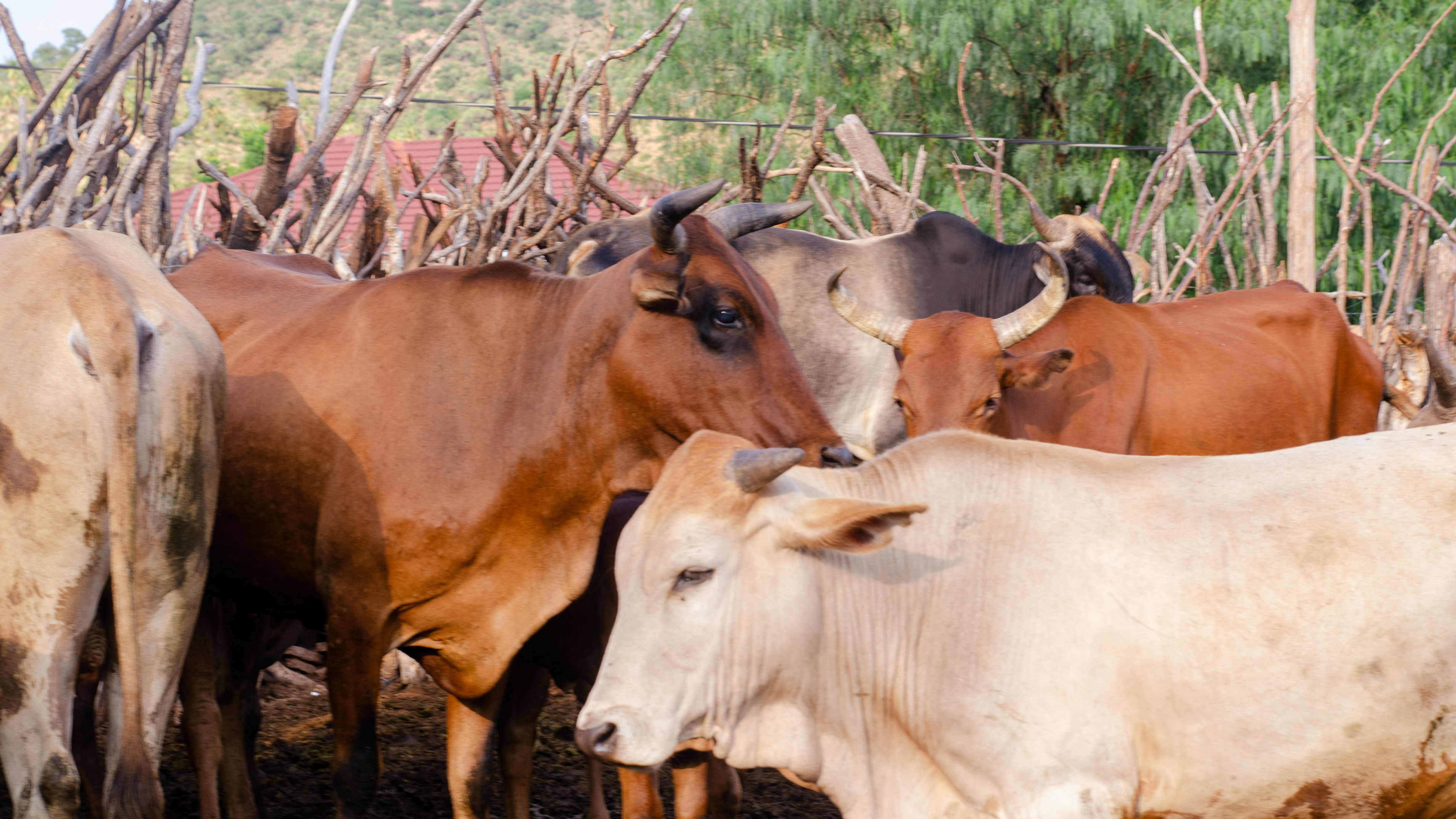 Photo by stewardesign