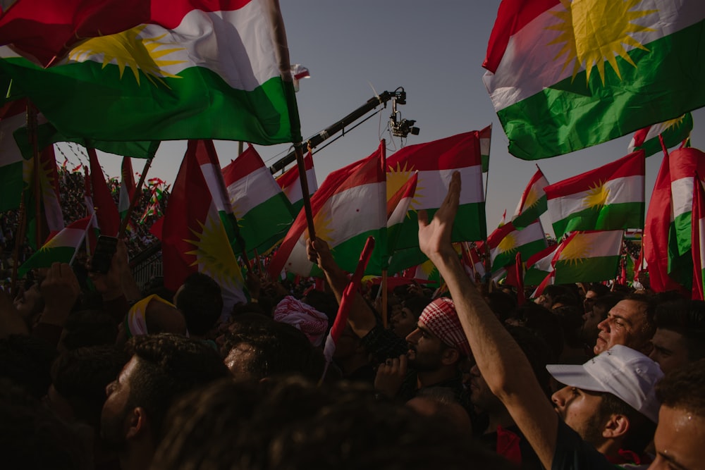 people holding flags during daytime