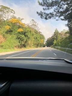 A scenic view of a winding dirt road leading through wildflowers and native shrubs under a clear blue sky.