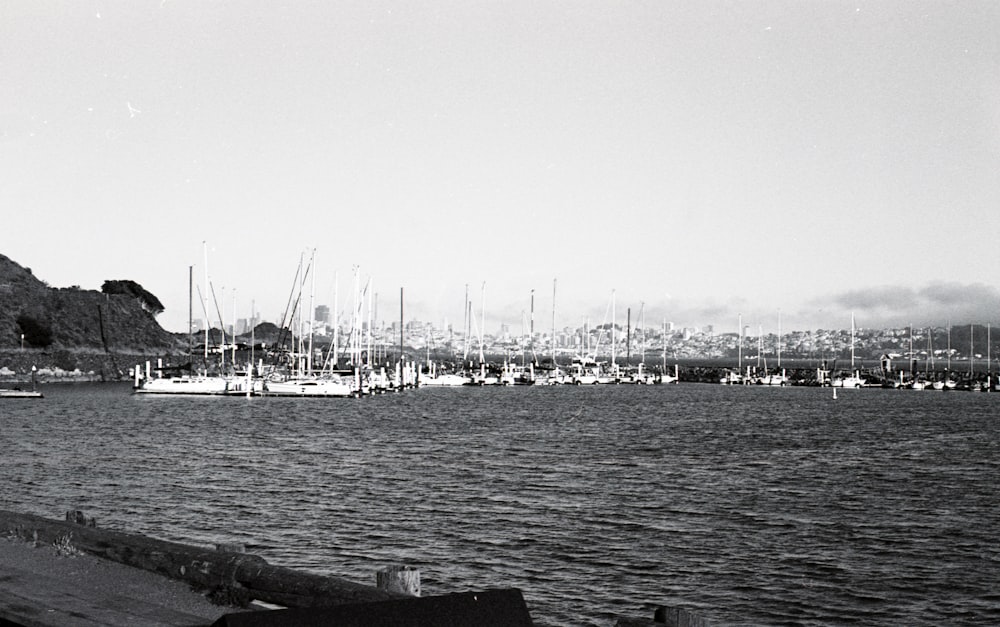 white sail boat on sea during daytime