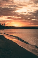 silhouette of trees near body of water during sunset