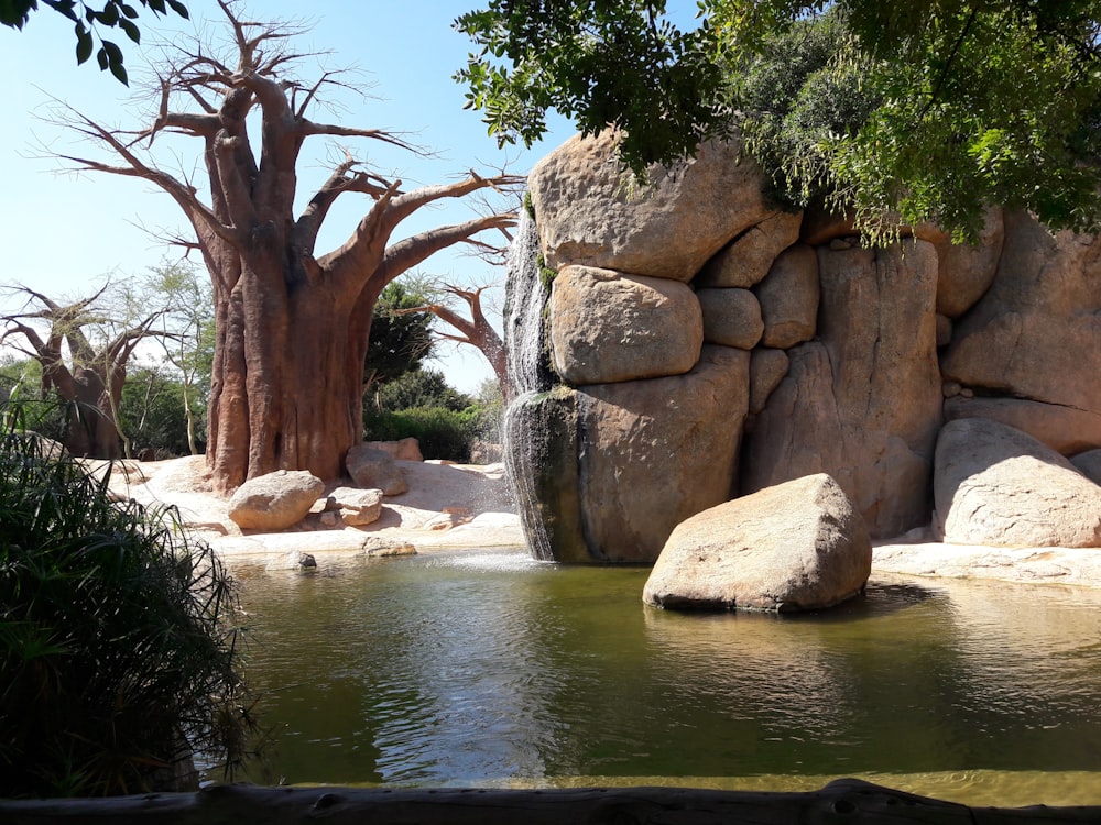 brown rock formation on body of water during daytime