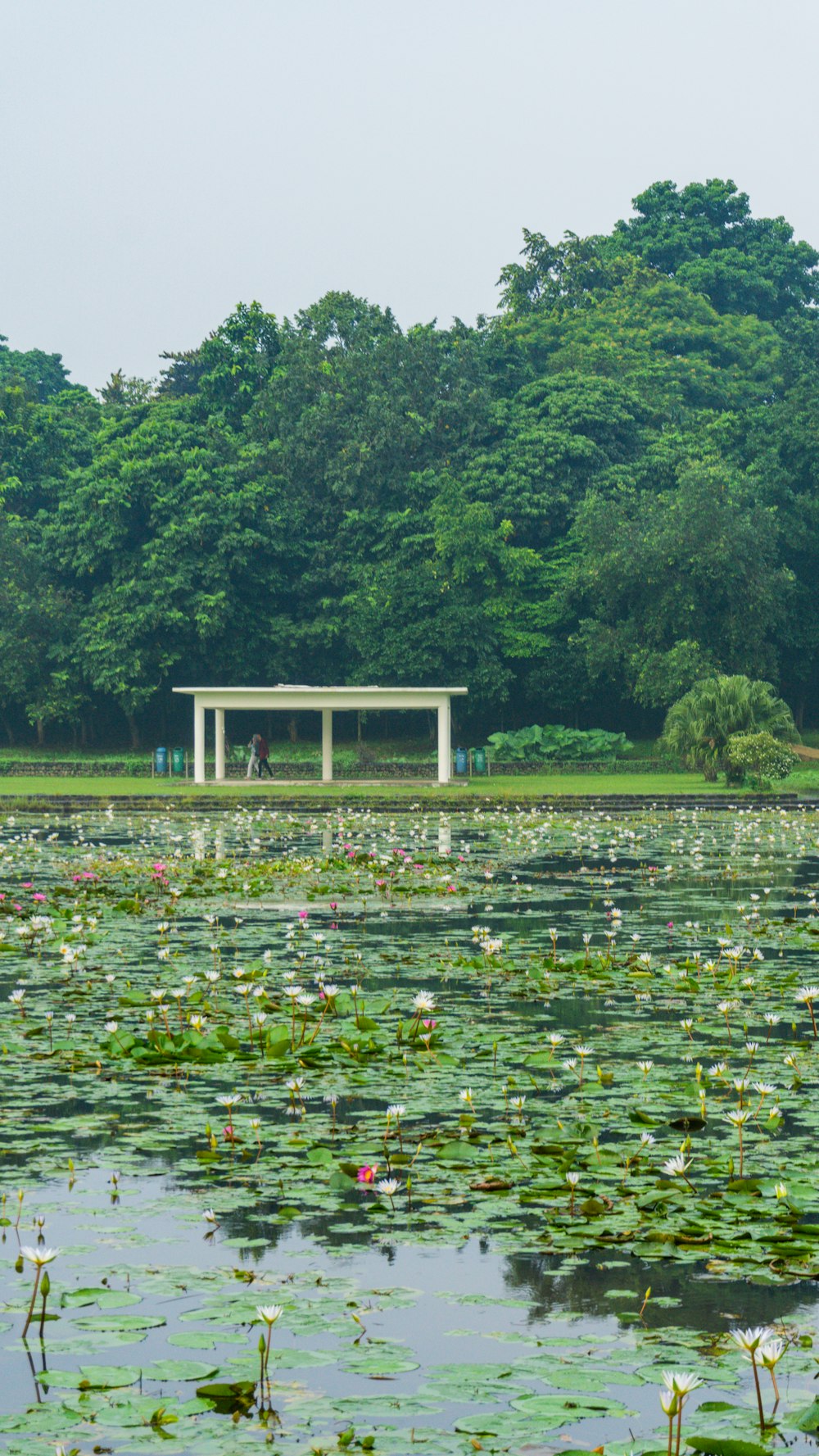 weißer und brauner Holzpavillon auf grünem Grasfeld in der Nähe von grünen Bäumen tagsüber