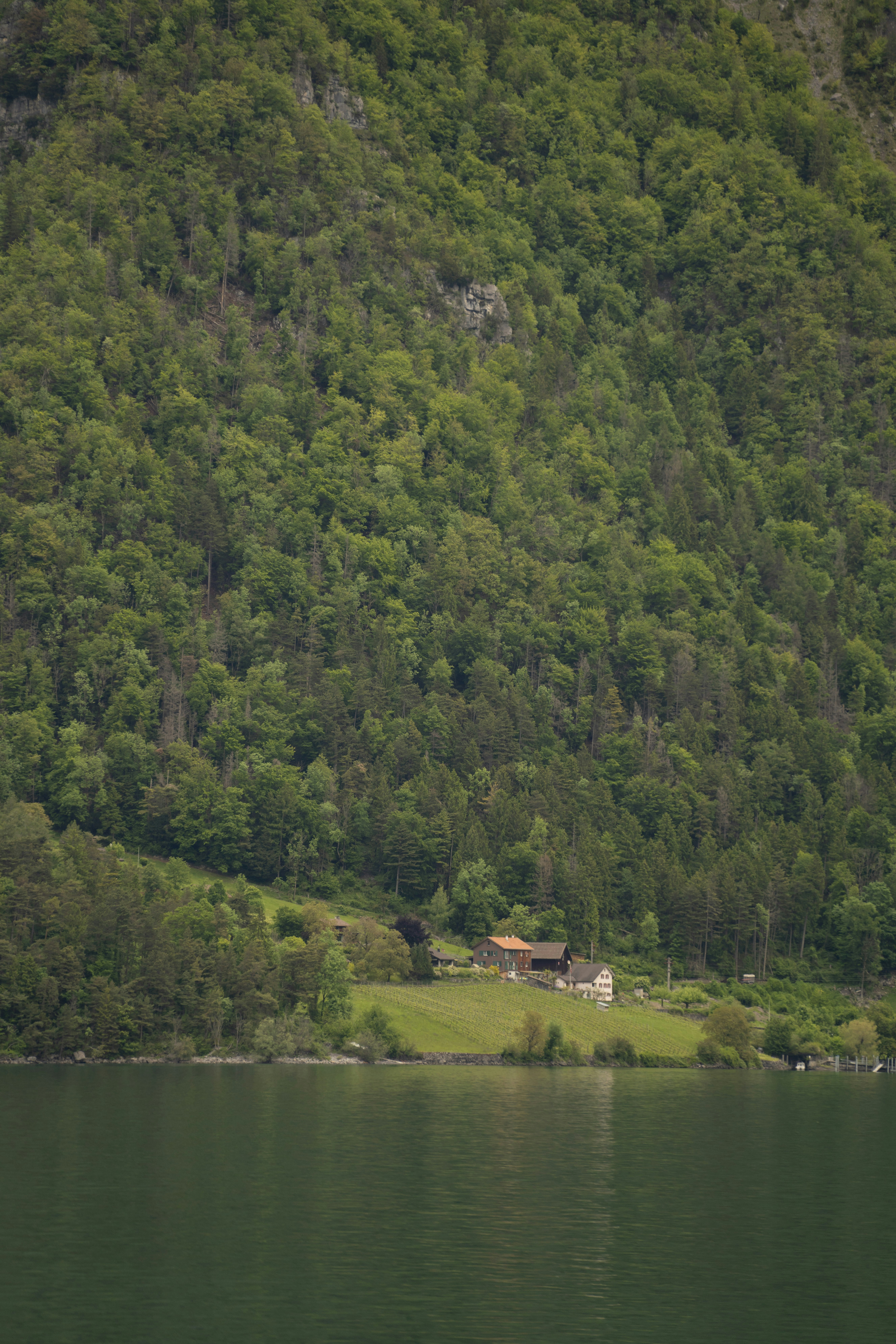 Photo by opohmelka