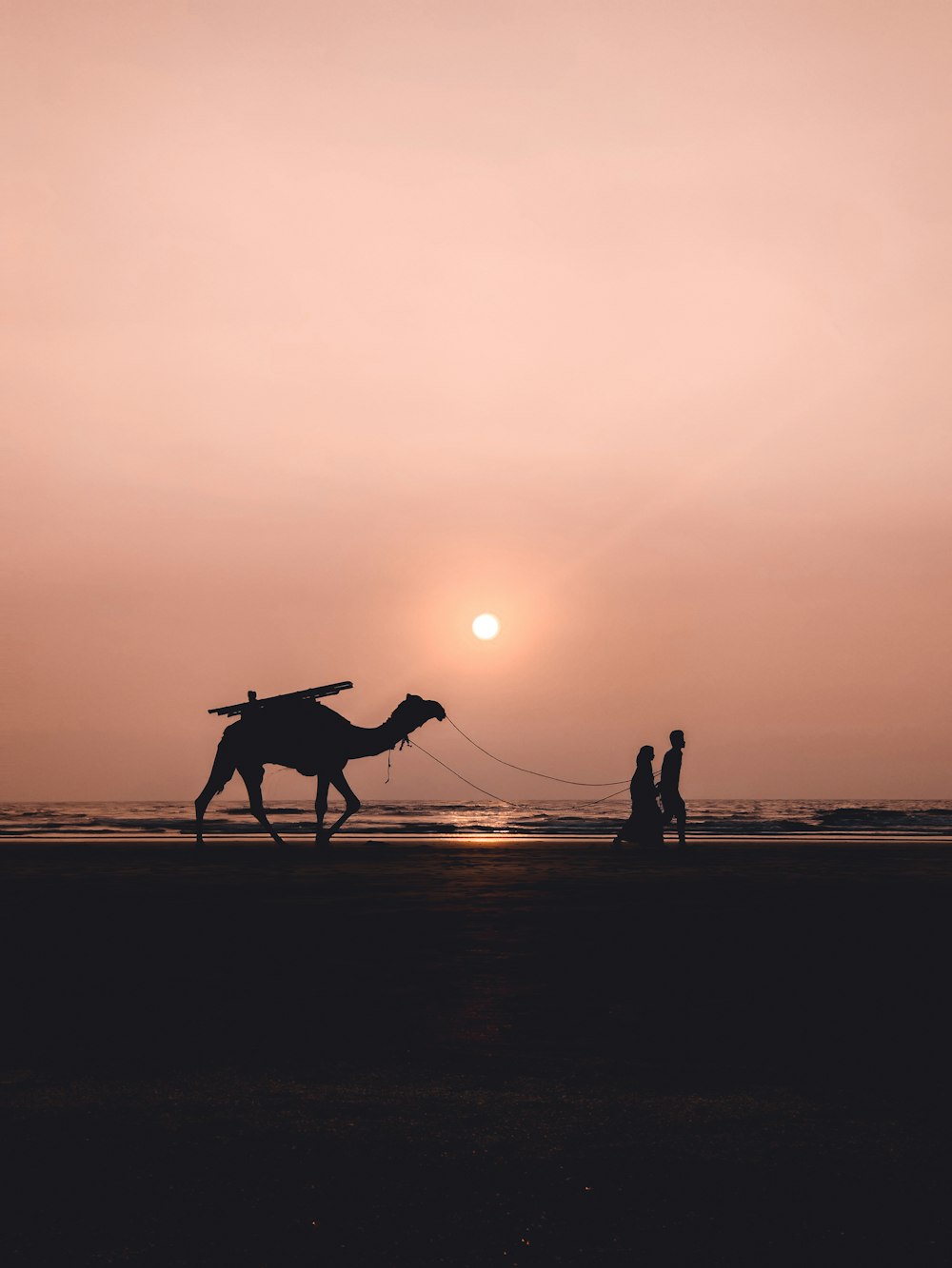 Silueta de 2 personas montando a caballo durante la puesta del sol