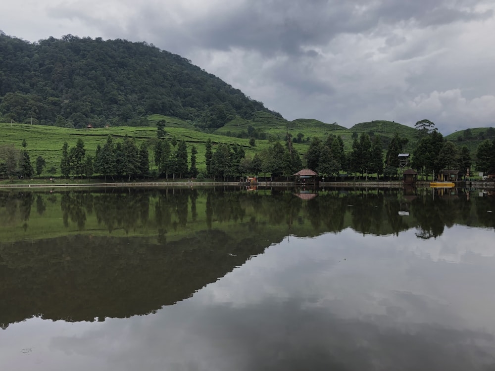 green trees beside lake under cloudy sky during daytime