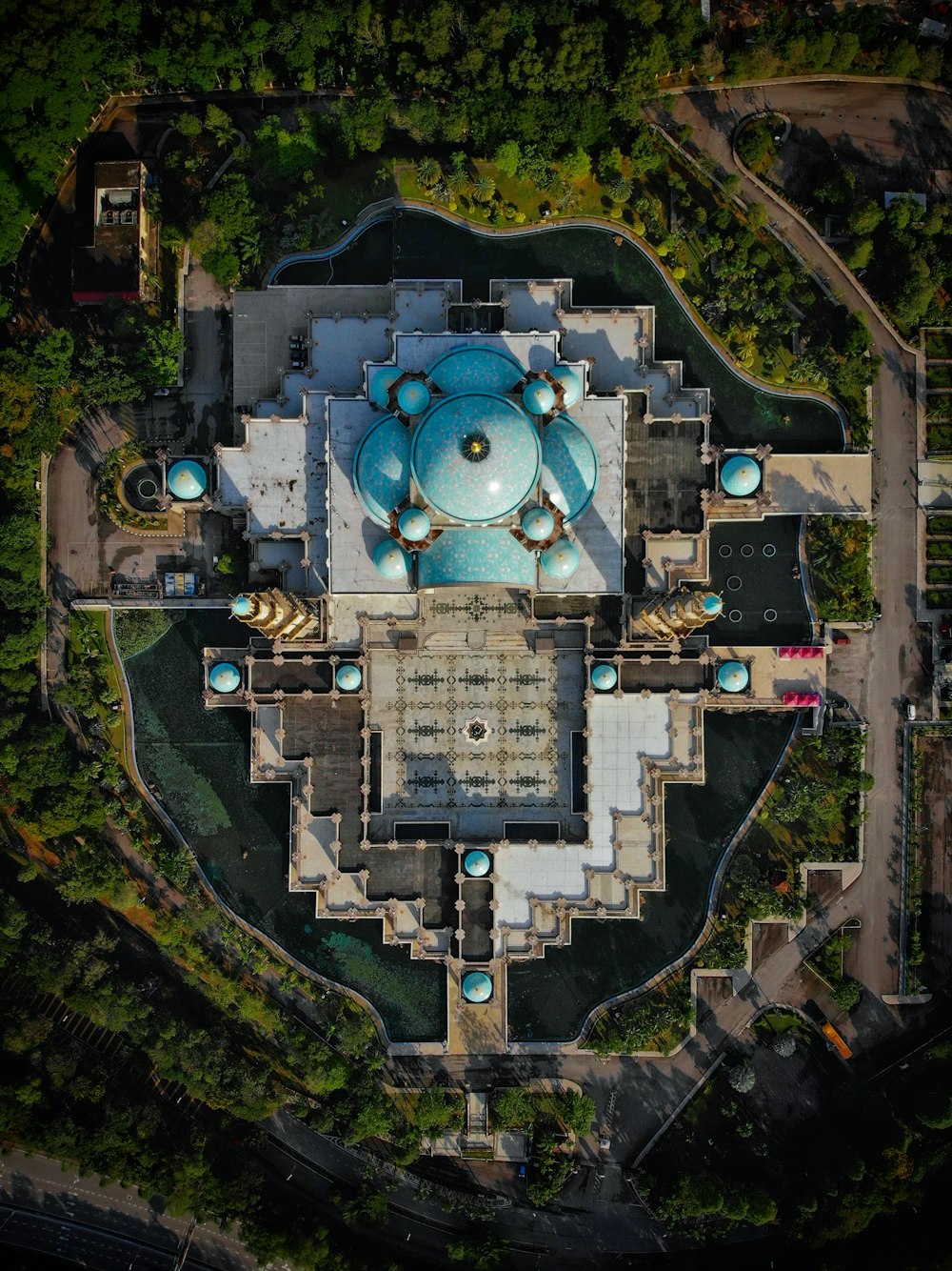 aerial view of green trees and houses