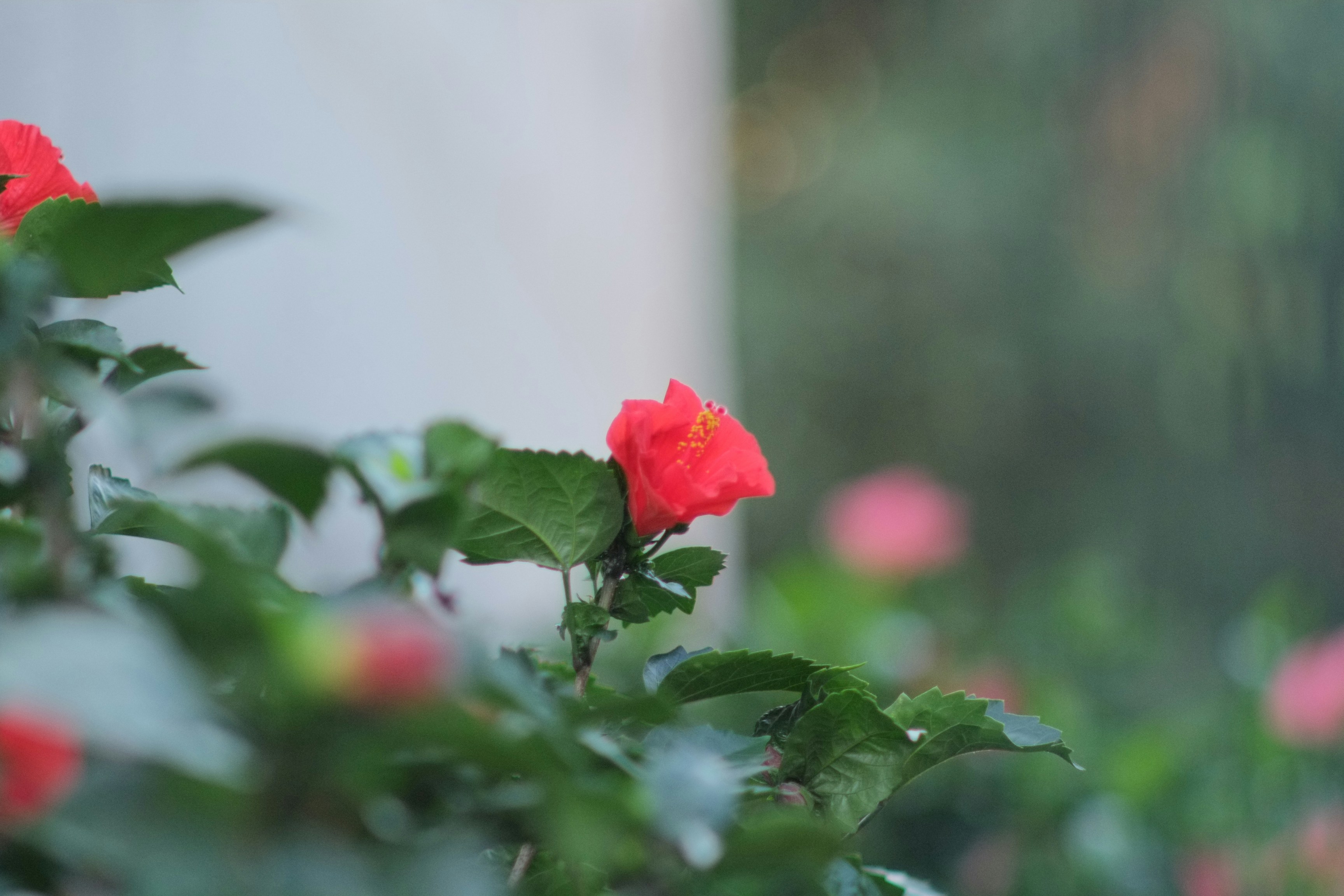 Photo by ditto7