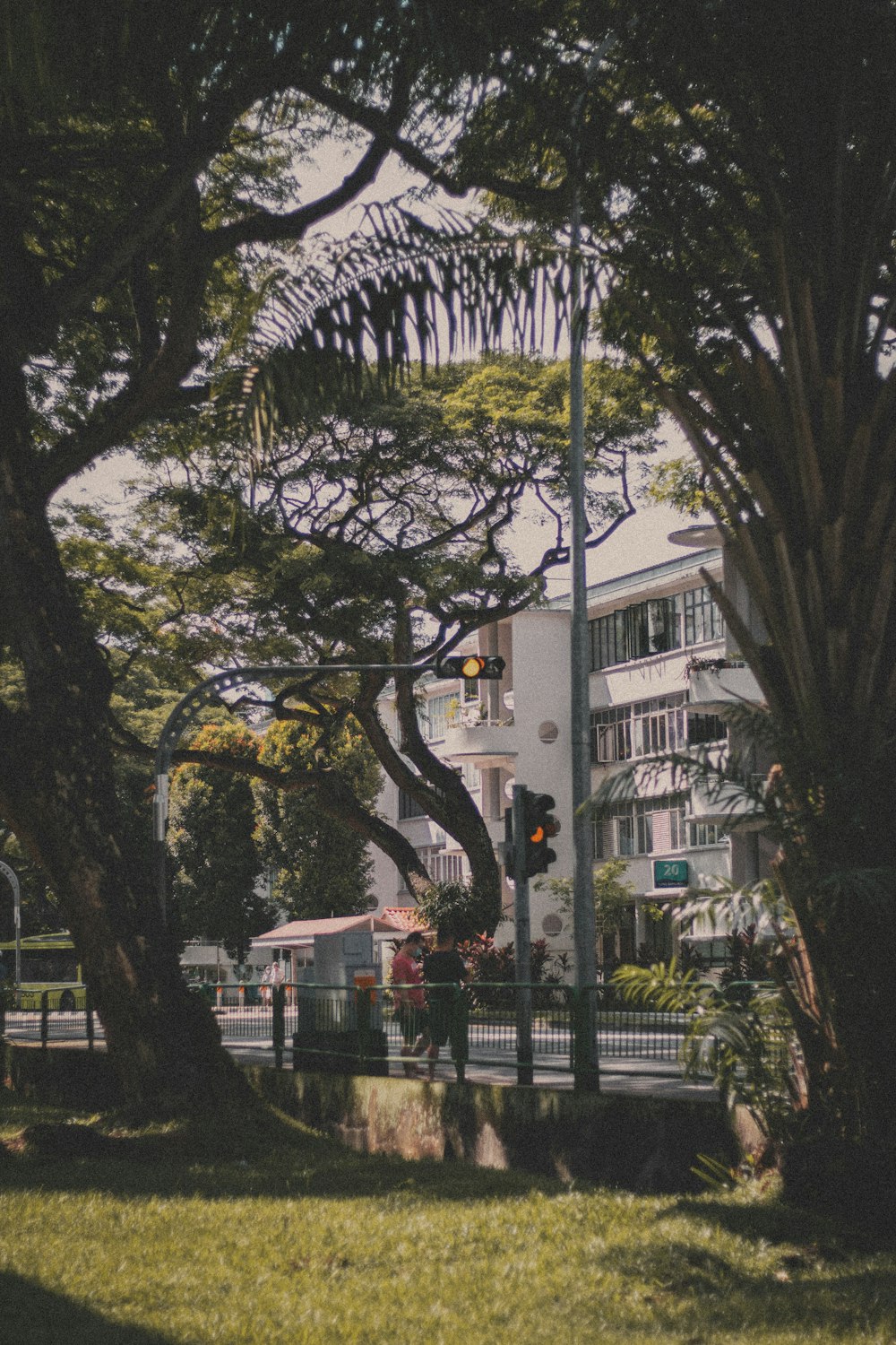 green trees near white concrete building during daytime