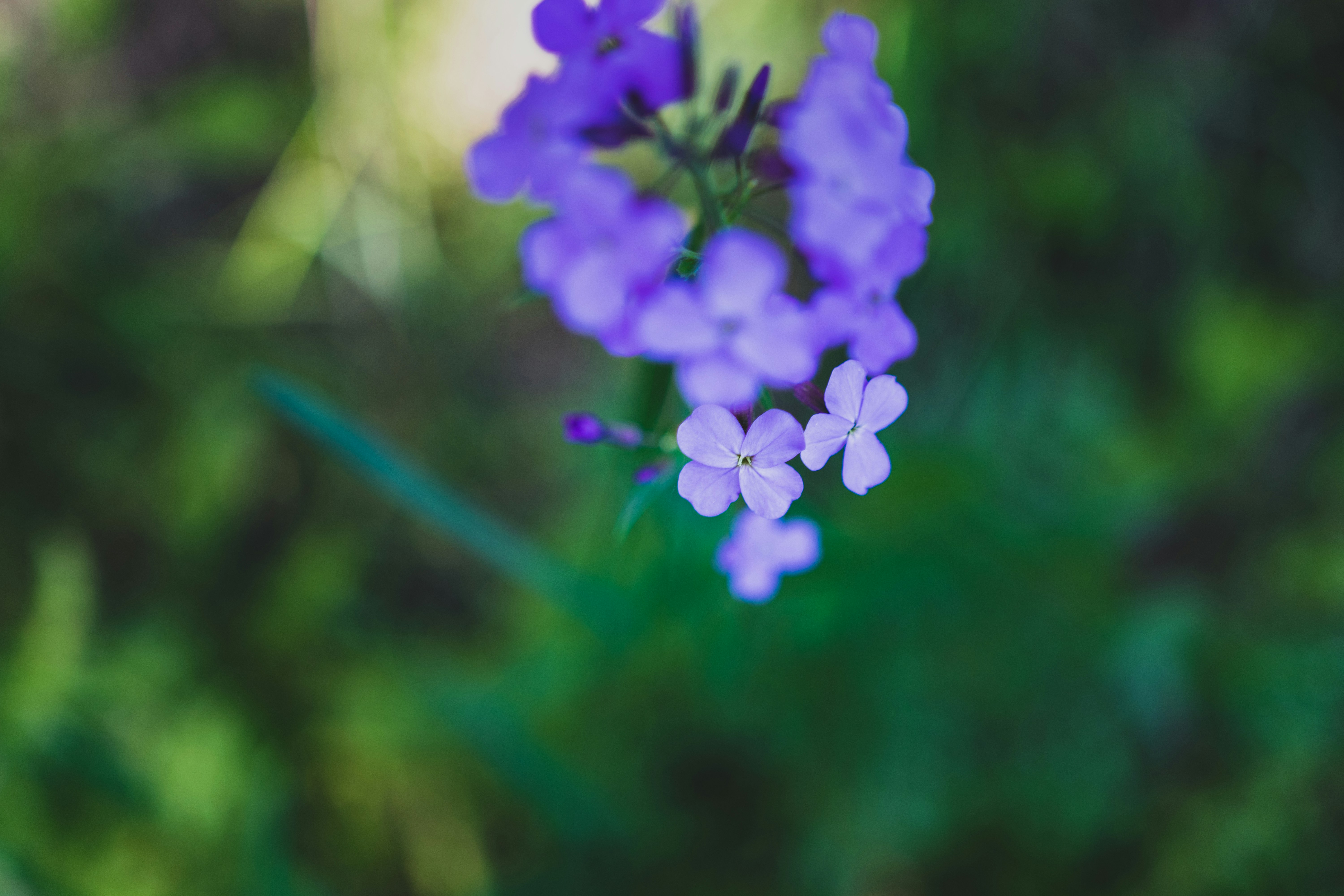 Photo by starworshipp3r