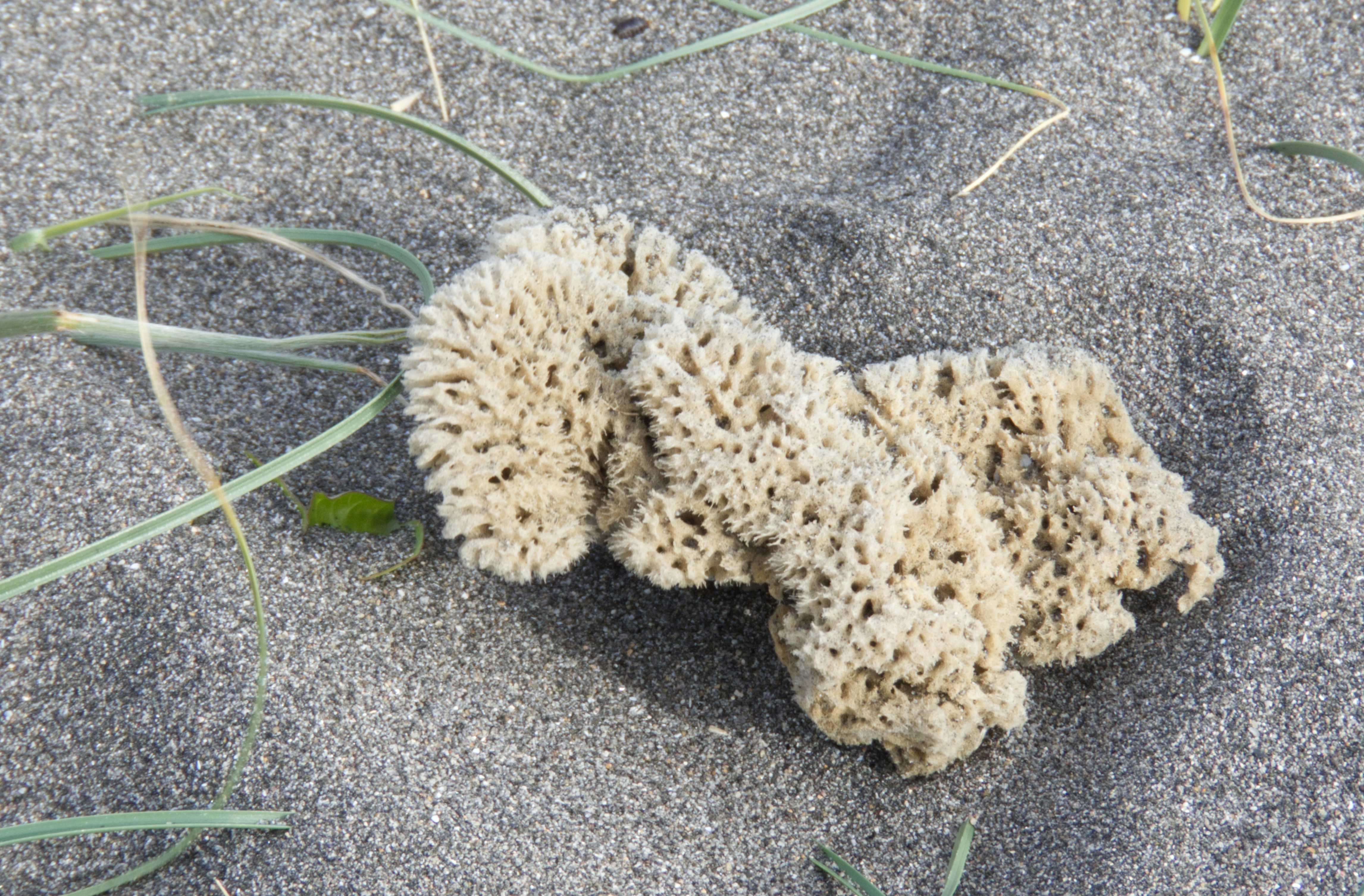 brown and white fur textile