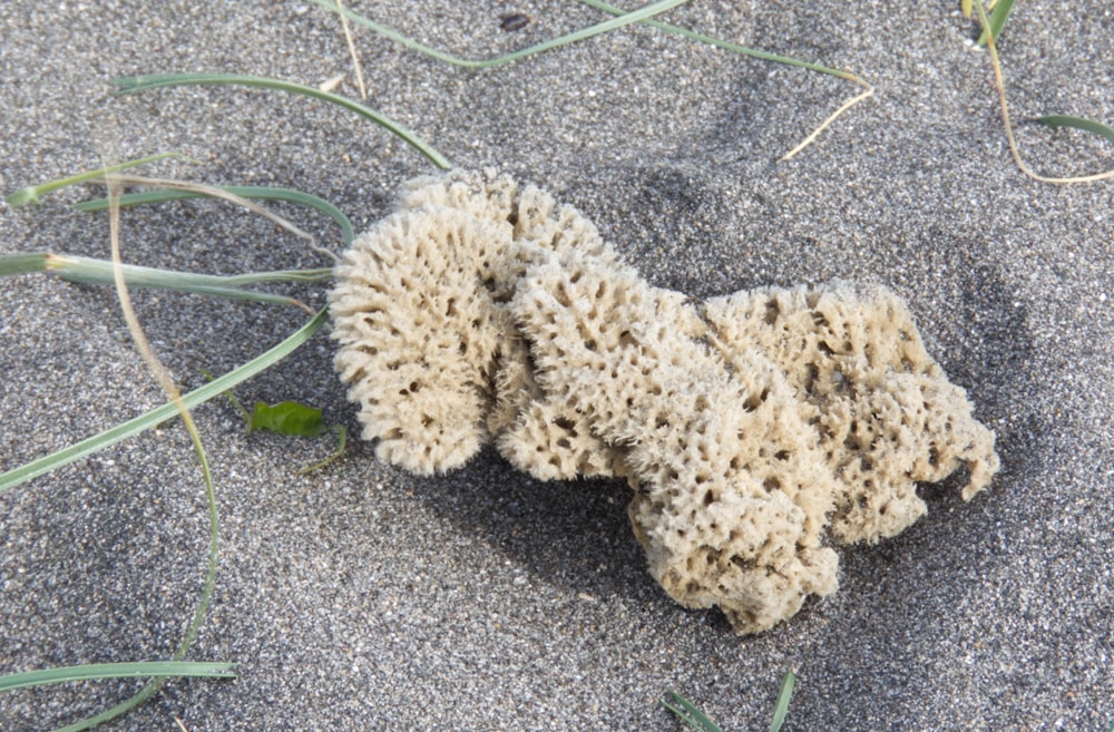 brown and white fur textile