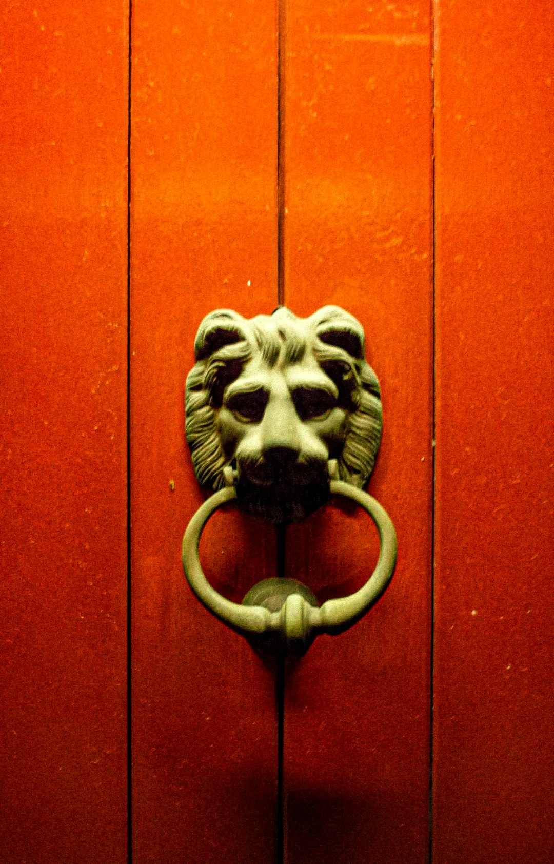 grey lion head door handle