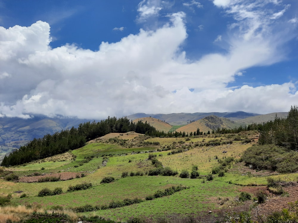 green grass field under blue sky and white clouds during daytime