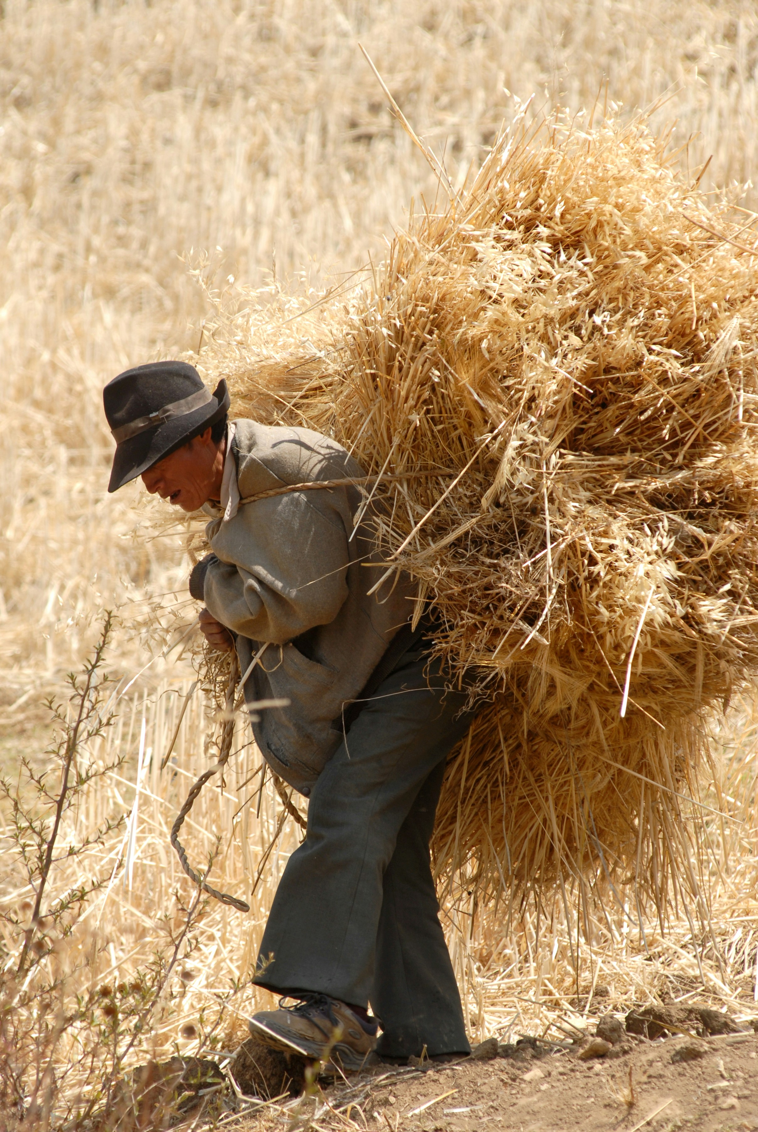 Man in brown jacket and black pants standing on brown dried grass field