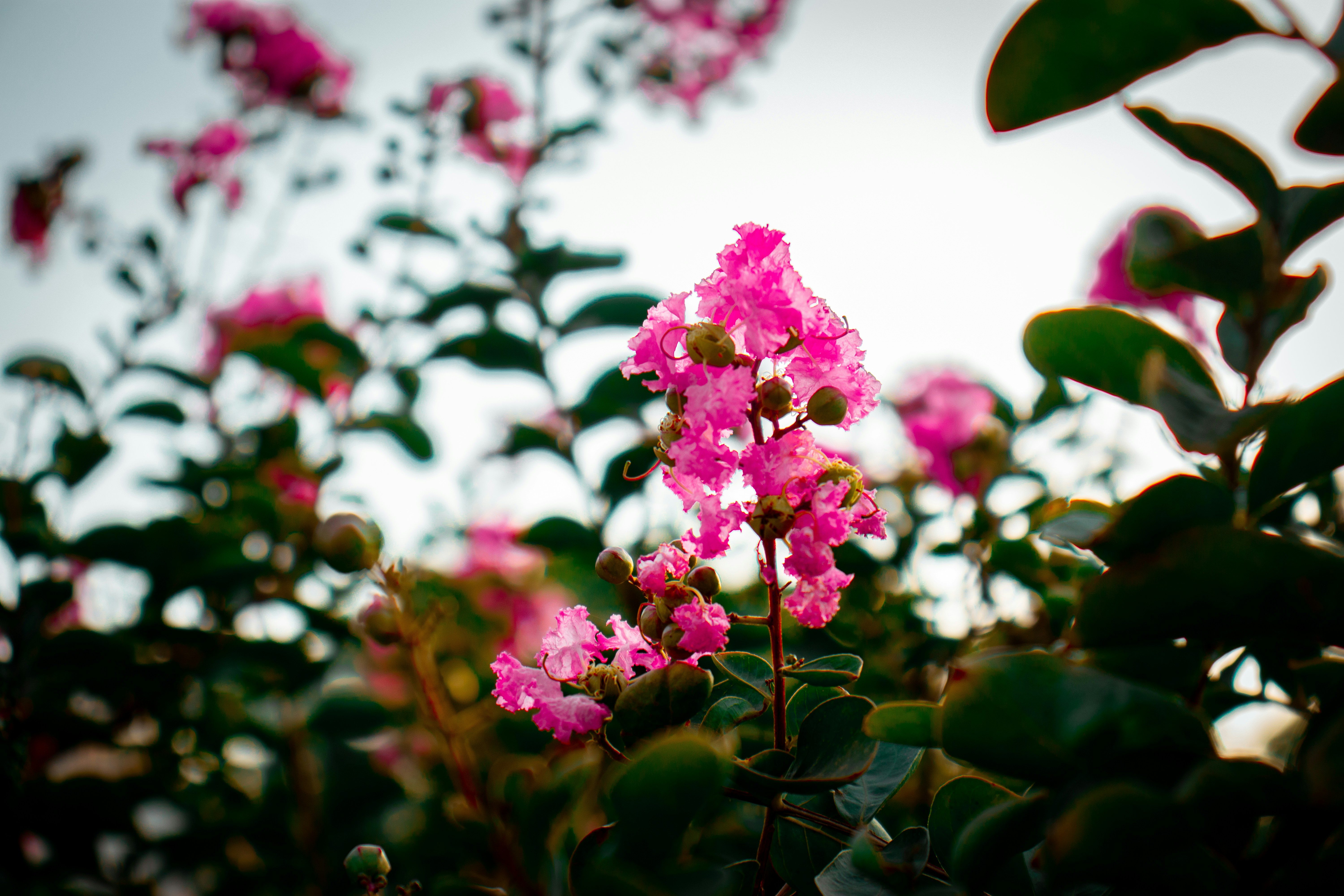 Photo by amaan_farooq15