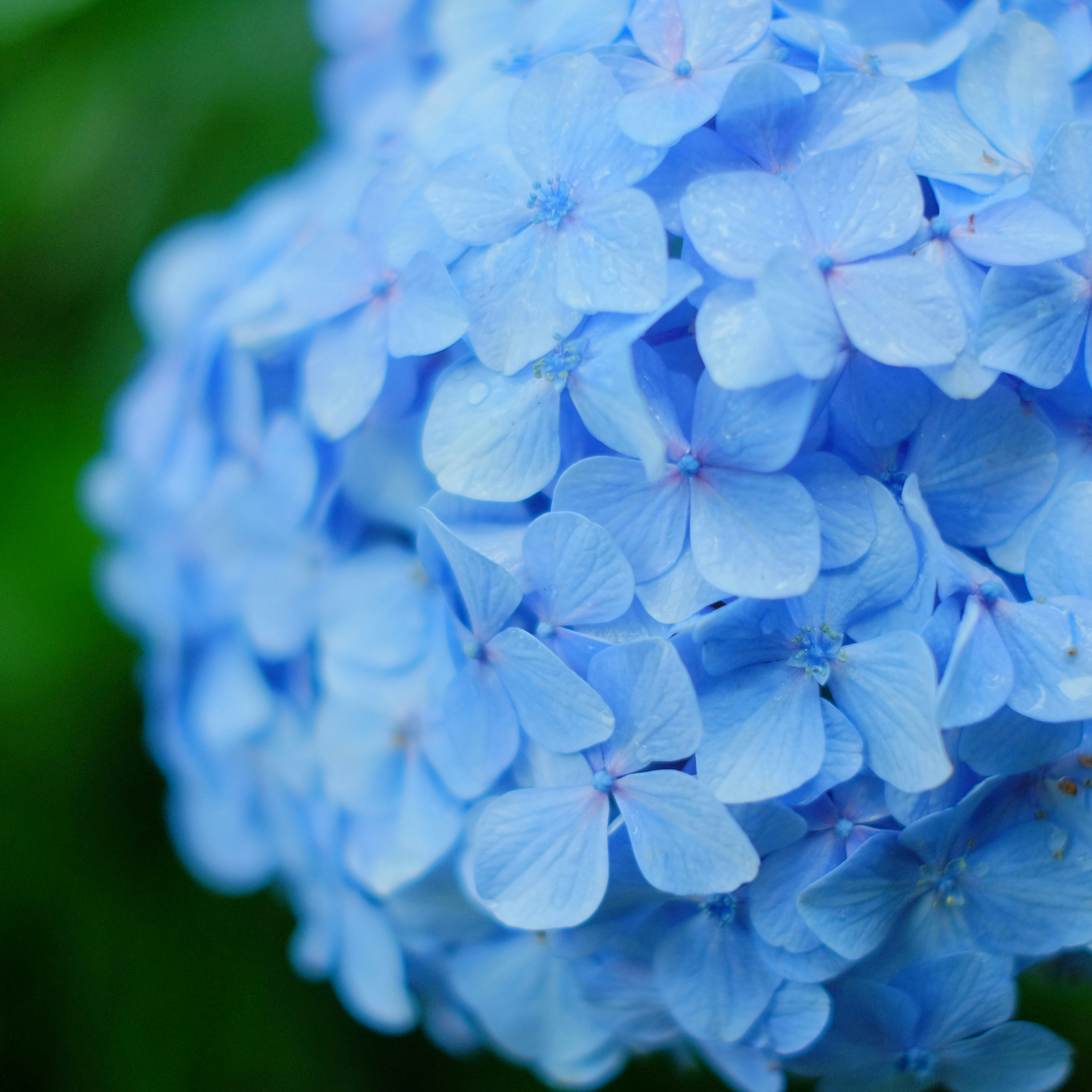 Photo by kiyomishiomura