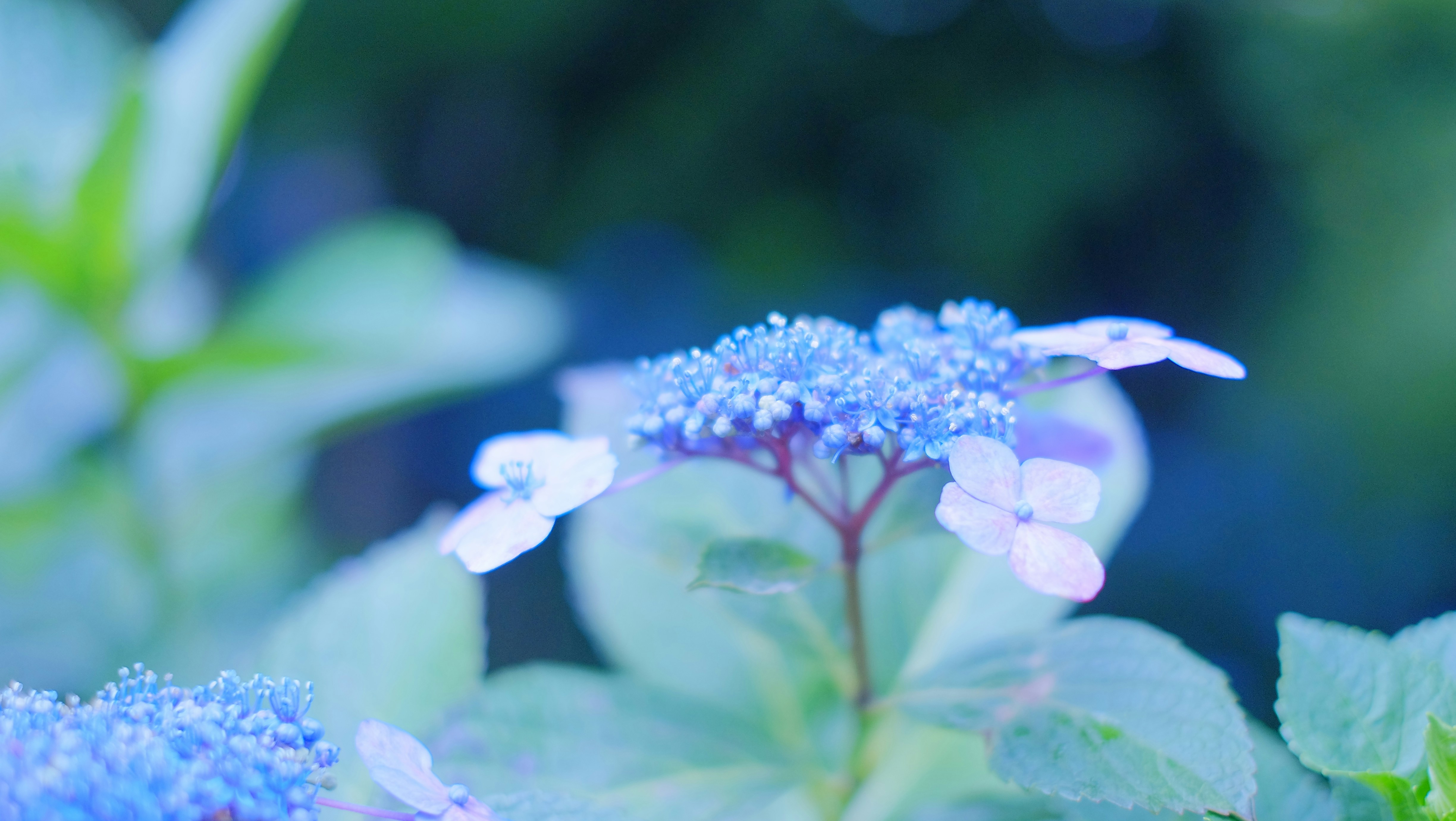 Photo by kiyomishiomura