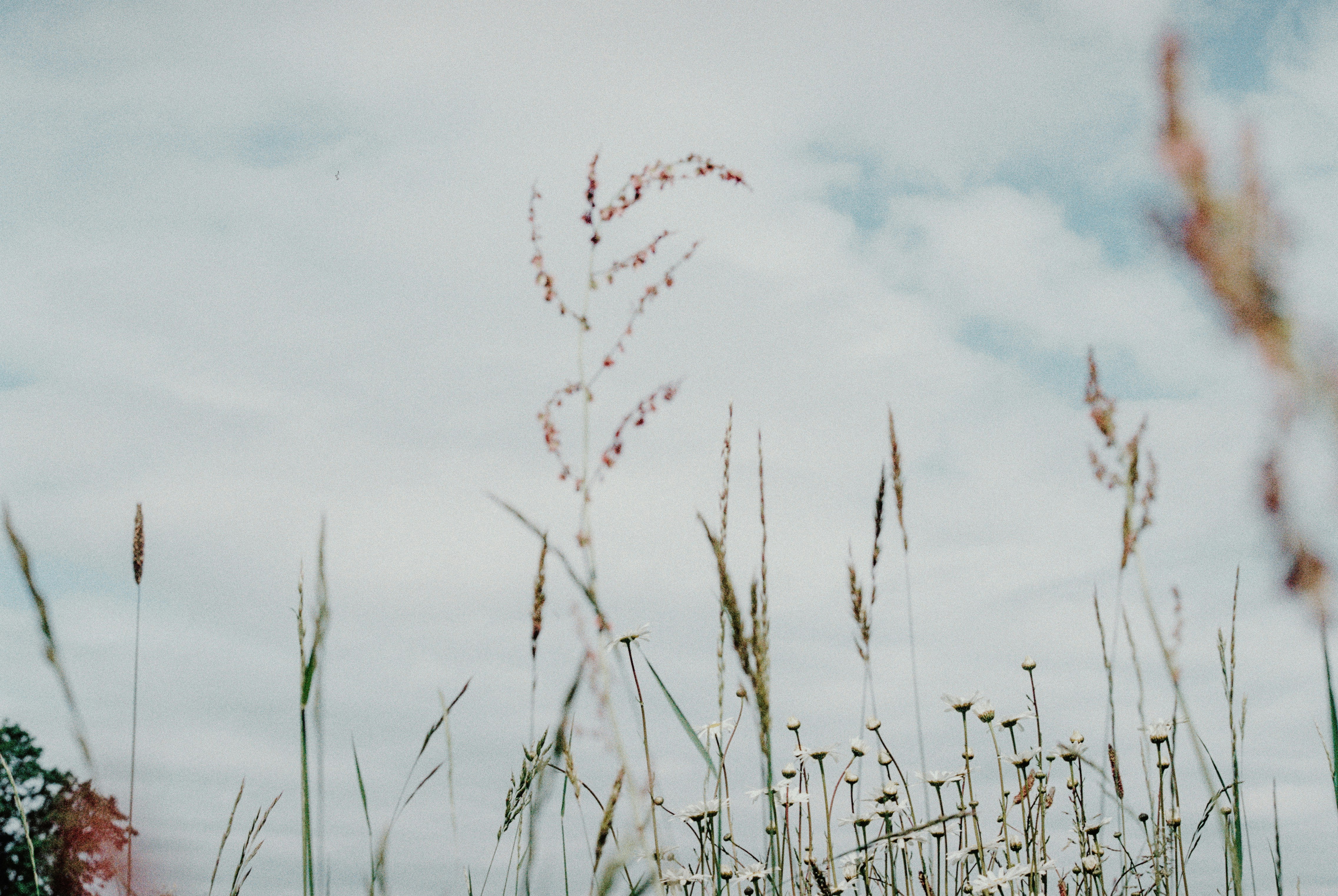 Photo by anniespratt